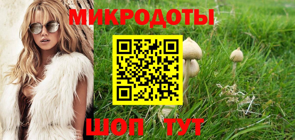 Великий Новгород  Псилоцибиновые грибы мицелий  Вход с VPN 