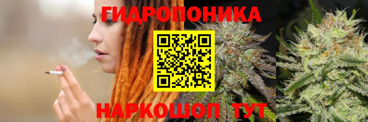 МАРИХУАНА OG Kush Великий Новгород