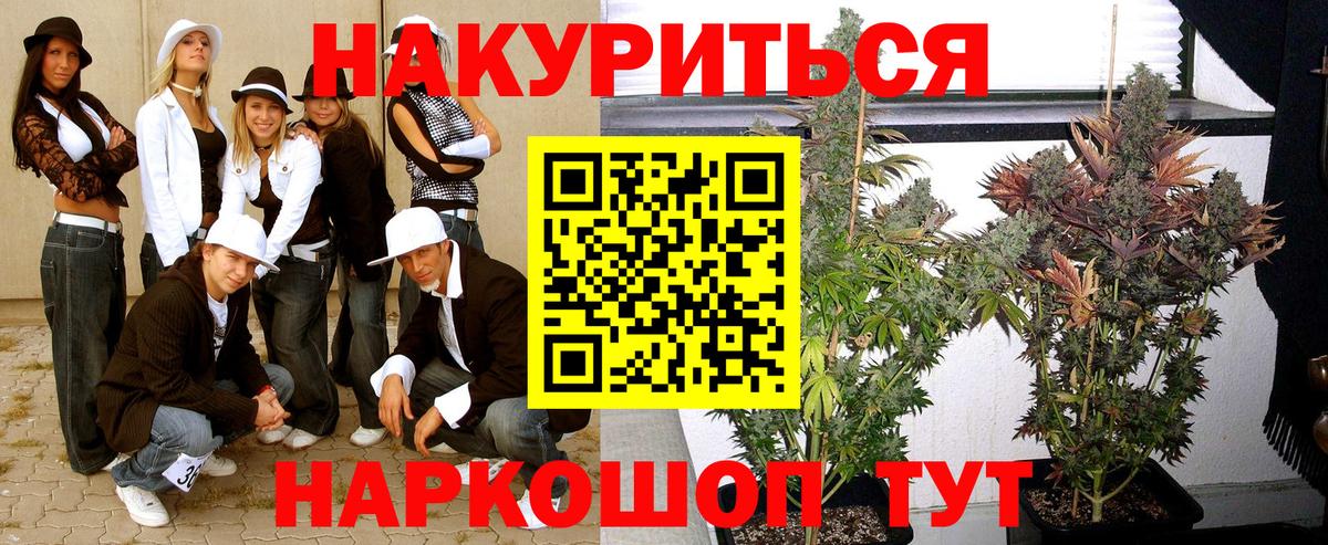Шишки марихуана Bruce Banner  Каннабис конопля  Великий Новгород  Вход с VPN  Каннабис конопля 